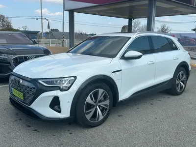 Audi Q8 e-tron