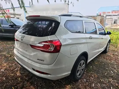 Baojun 310W