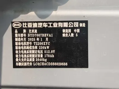BYD L EV