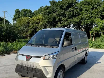 Wuling Wuling EV50