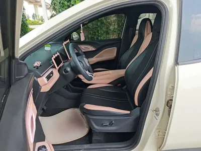 BYD Seagull