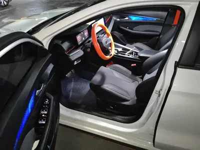 Geely Binrui