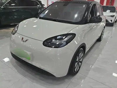 Wuling Bingo