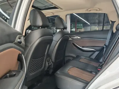 BYD New Energy