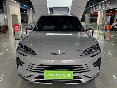 BYD PLUS New Energy