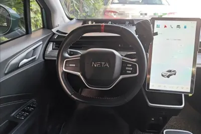 NETA V