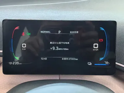 BYD Seagull