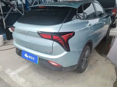 NETA Neta V