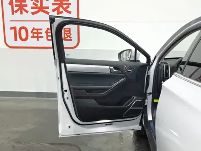 BYD Tang New Energy
