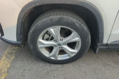 Bisu T5