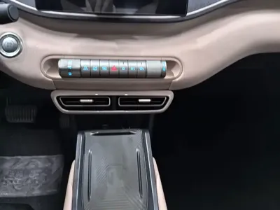 BYD Seagull