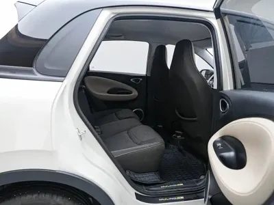 Wuling Bingo