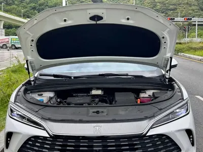BYD L DM-i
