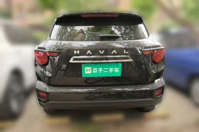 Haval H Dog