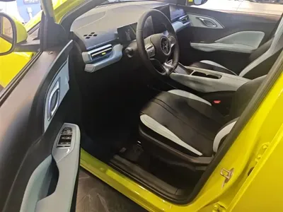 BYD Seagull
