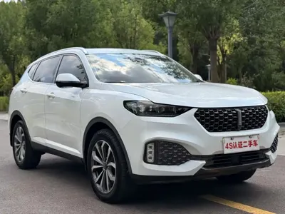 WEY Wey VV6