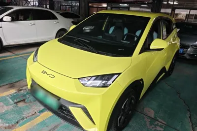 BYD Seagull