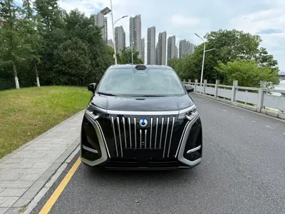 Denza Denza D9