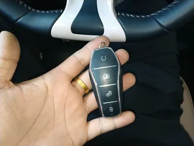 BYD Seagull