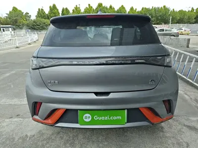BYD Dolphin
