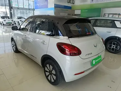 Wuling Bingo