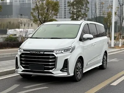 大通 G20