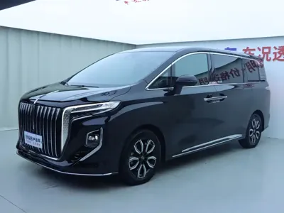 Hongqi Hongqi HQ9