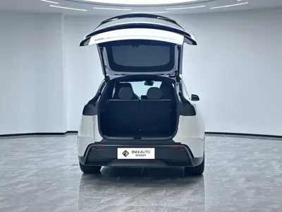 Tesla Model Y L