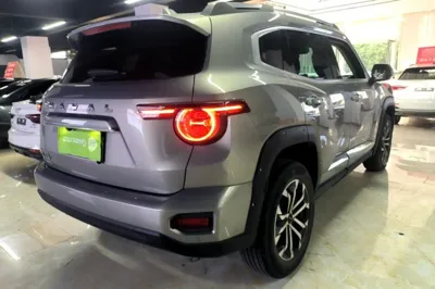 Haval H Dog