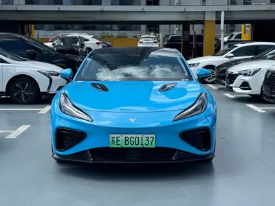 NETA Neta GT