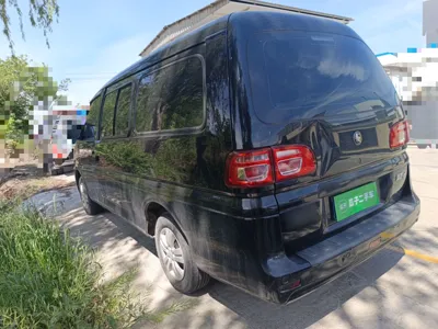 Forthing Lingzhi