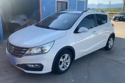 Baojun 310