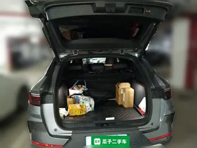 BYD PLUS