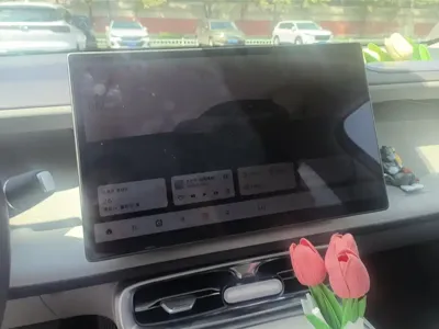 Leapmotor 零跑B01