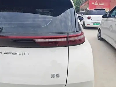 BYD Seagull