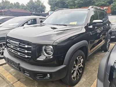 Haval Big Dog