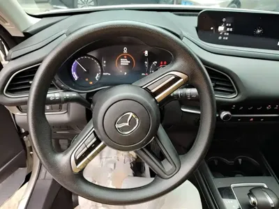 Mazda CX-30 EV