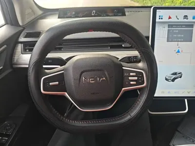 NETA Neta V