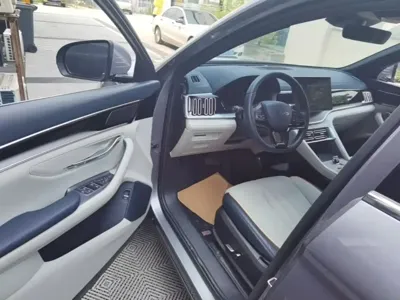 BYD PLUS New Energy