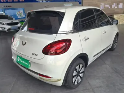 Wuling Bingo