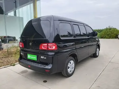 Fengxing Lingzhi