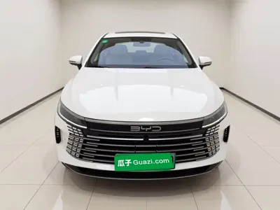 BYD Destroyer 05