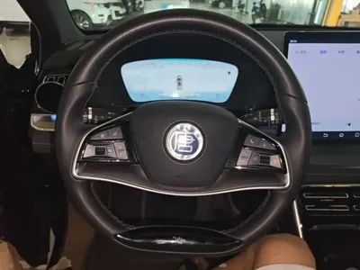 BYD Tang New Energy