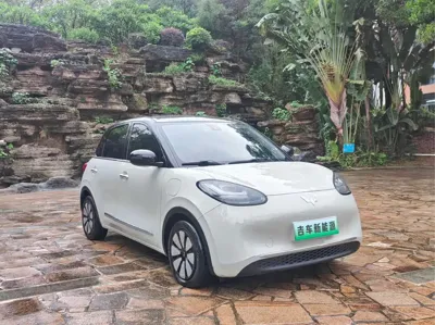 Wuling Bingo