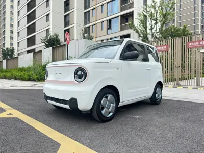 Galaxy Panda