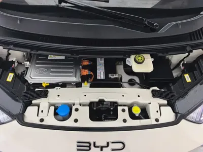 BYD Seagull