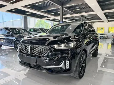 WEY Wey VV6