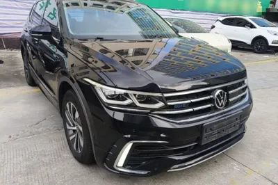 Volkswagen Tiguan L New Energy