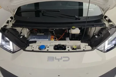 BYD Seagull