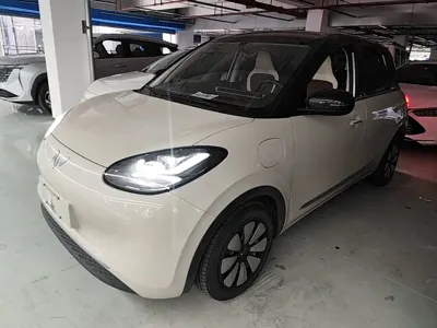 Wuling Bingo